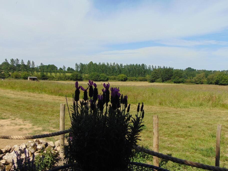 Secret & Secluded Sedlescombe Vila Battle Exterior foto